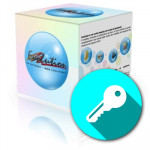 SOFTWARE APPLICATIVI ESD (LICENZA ELETTRONICA) - EVOLUTION-4 GESTIONALE (ESD-LICENZA ELETTRONICA) ADD-ON UPGRADE A  2 UTENTI LAN O  2 AZIENDE - 8020779002748 - Borgaro Online