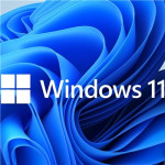 SOFTWARE SISTEMI OPERATIVI - WINDOWS 11 HOME 64BIT DVD OEM KW9-00642 - Borgaro Online